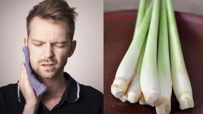 Mengatasi Sakit Gigi dengan Ramuan Herbal yang Alami