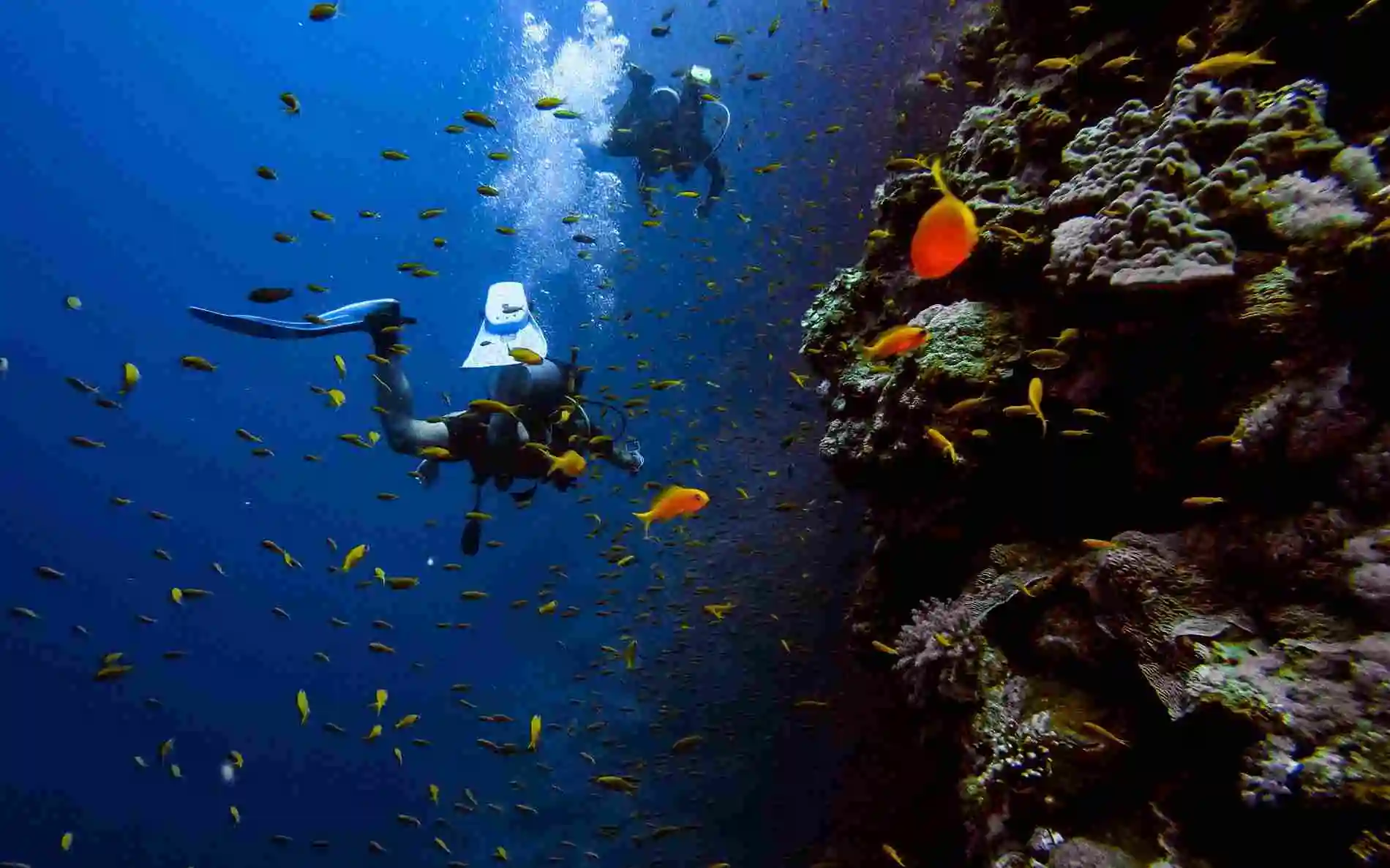 Wisata Baru di Indonesia yang Wajib Kamu Kunjungi