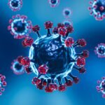 Virus Nipah