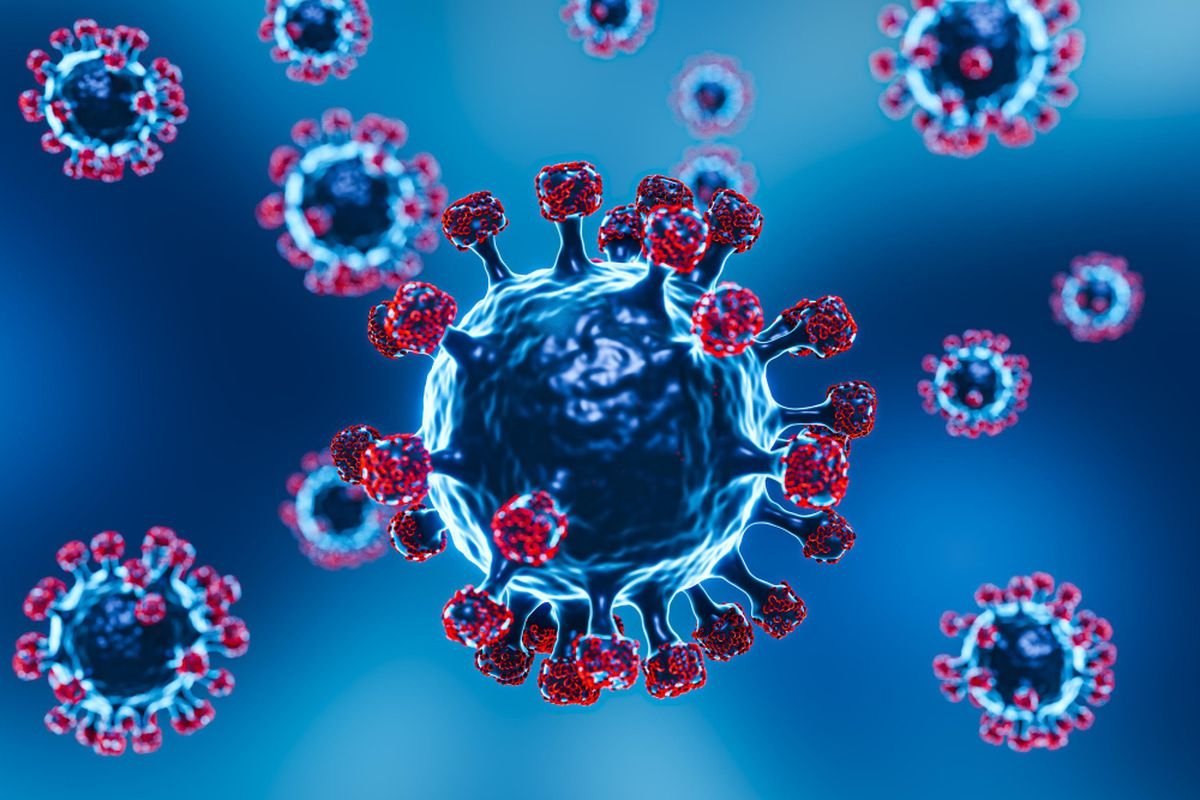 Virus Nipah