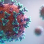 Virus Nipah