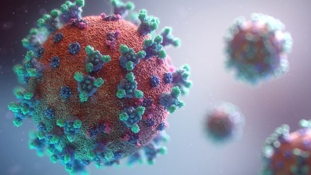 Virus Nipah