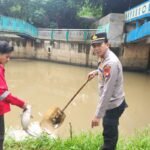 Sungai Cisadane