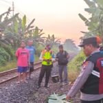Buka Sorotan