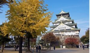Istana Osaka, Benteng Toyotomi yang Menjadi Ikon Bersejarah Kota Osaka Istana Osaka, Benteng Toyotomi yang Menjadi Ikon Bersejarah Kota Osaka