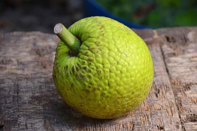 Manfaat Buah Sukun