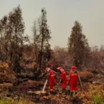 pemadaman karhutla Kalimantan