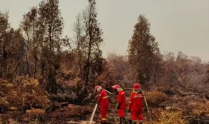 pemadaman karhutla Kalimantan pemadaman karhutla Kalimantan