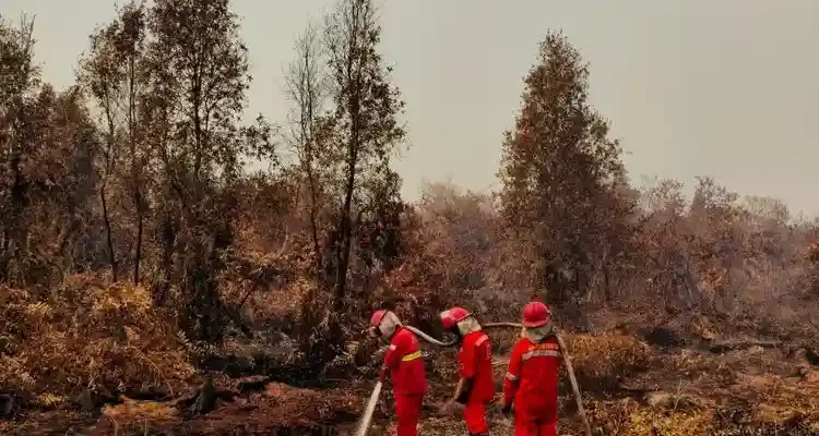 pemadaman karhutla Kalimantan