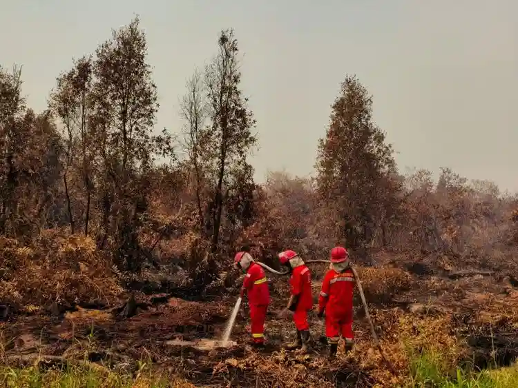 pemadaman karhutla Kalimantan